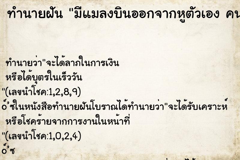 ทำนายฝัน มีแมลงบินออกจากหูตัวเอง คนฝันเป็นผู้หญิง 